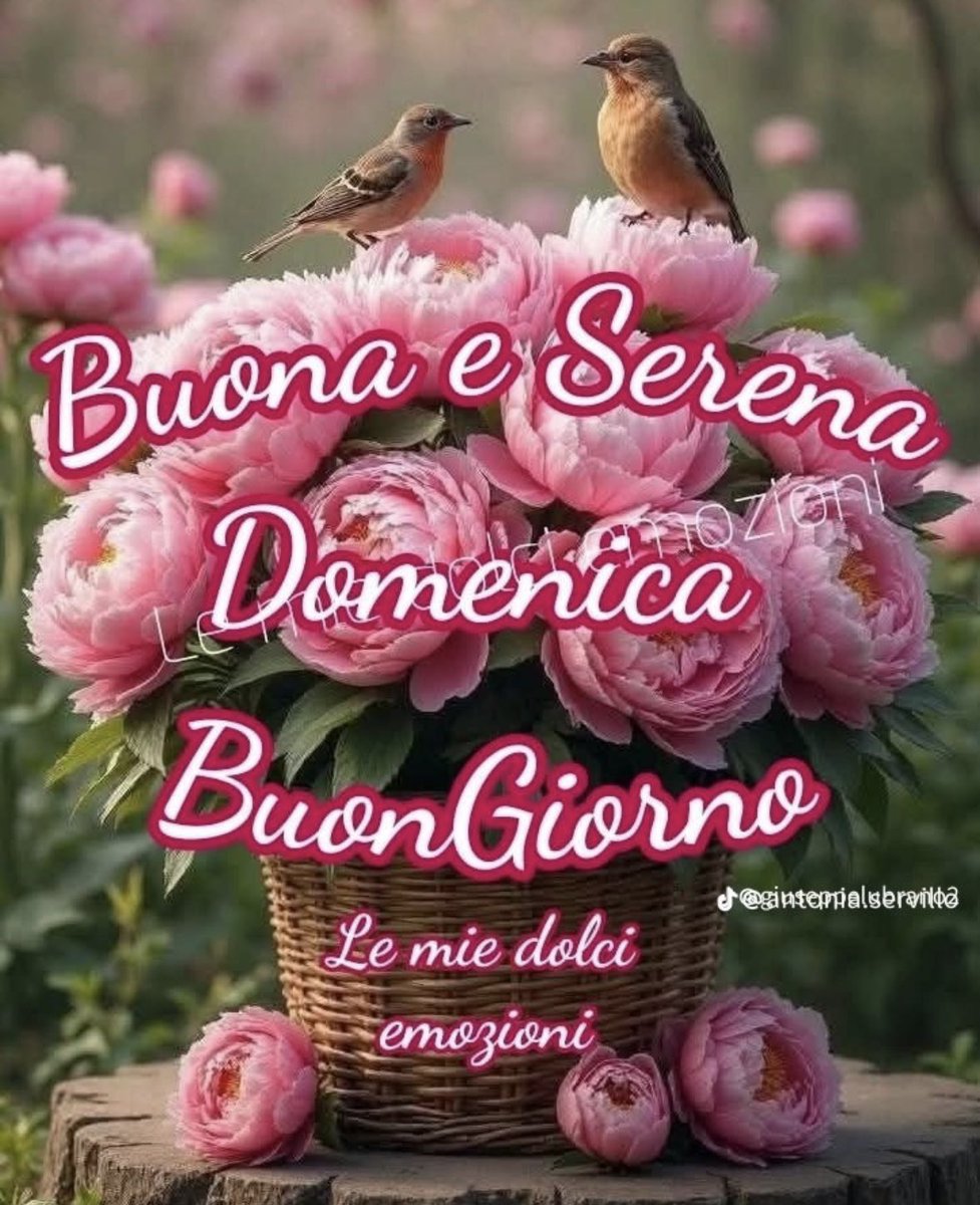 Meroni Daniele tweet media