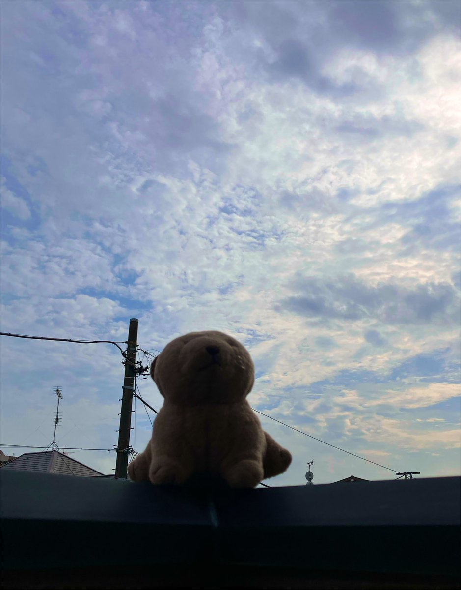 pirin_cute's tweet photo. おそら見たかったわん https://t.co/5b9OCcdq5F