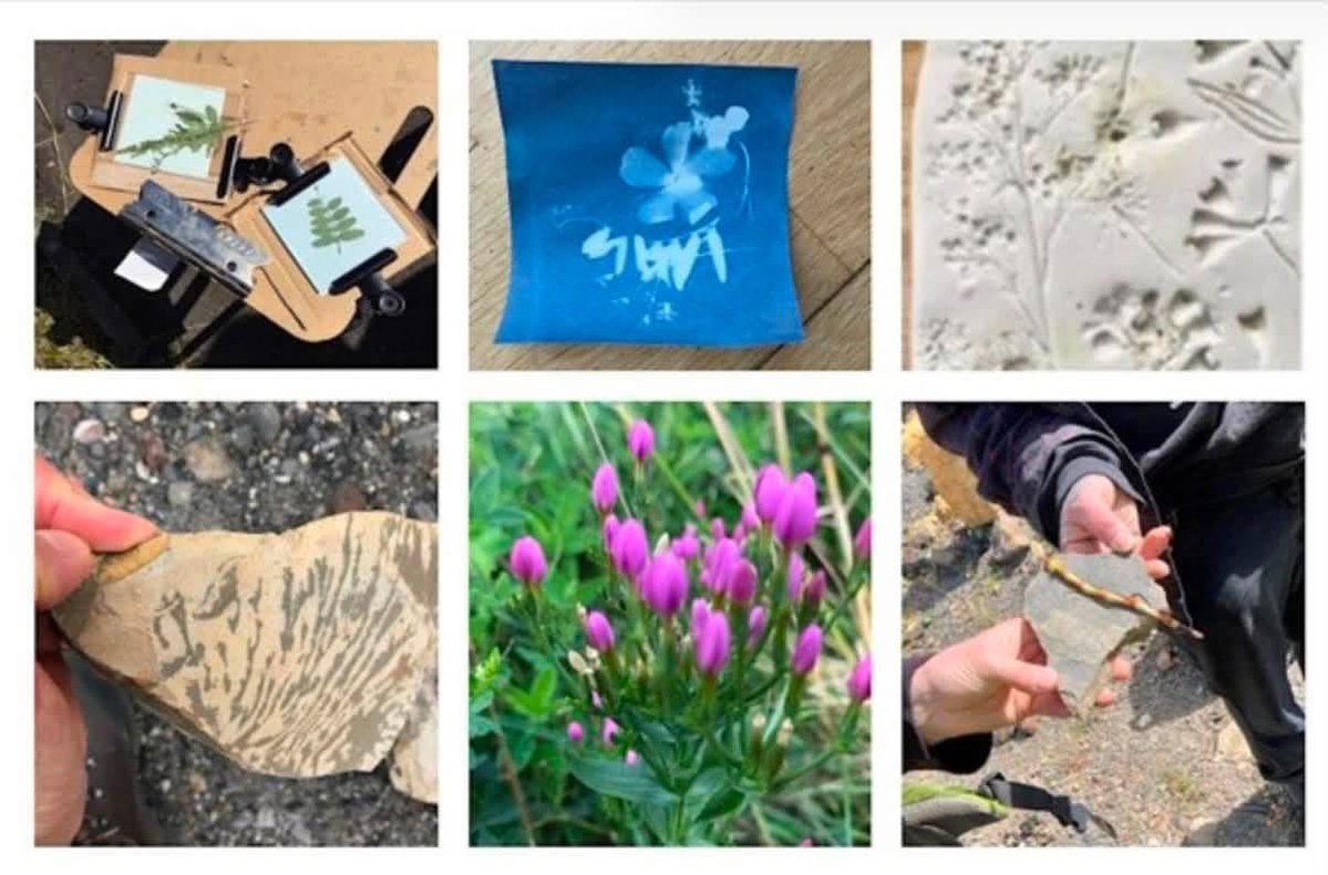 coal_legacies's tweet photo. In central #Fife still time to book a free place for #MiningLandscapes Family Coalscapes event Tues 28th 11am plant detectives, session with the rock doctor and art activities at the site of the former Mary Colliery Lochore Meadows Country Park nip to https://t.co/RQqUUkEgxG https://t.co/tAYeSSZFfs