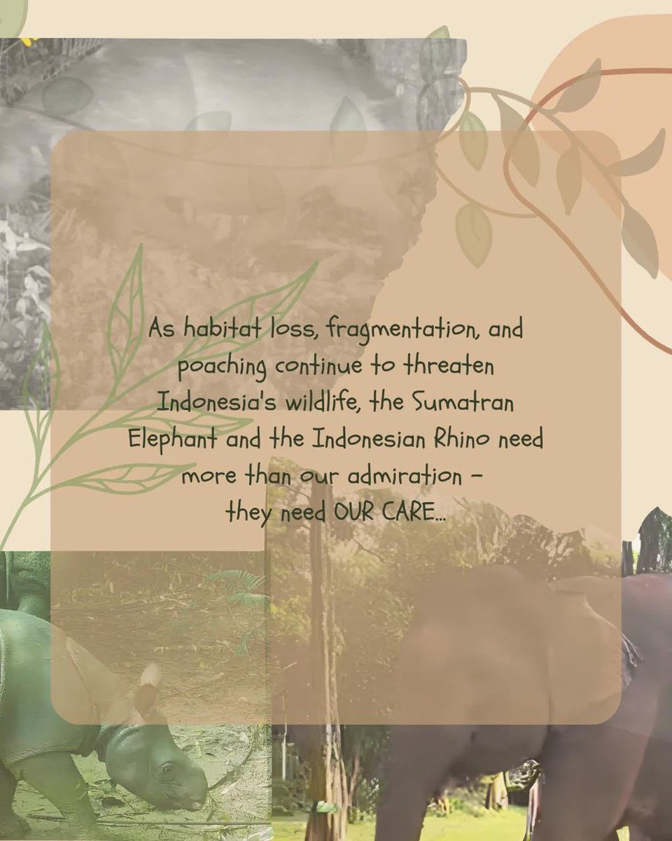 zhrkivejpg's tweet photo. #RM birthday project is hereee! 🇮🇩

Leave your support here, every leaf matters..

- Storybook - https://t.co/n7D14tAH6H
- Daily Journey - https://t.co/jxwlMgxdcv
- Leave a Leaf - https://t.co/Quh5JTIjB5

#Joon_glewalk 
#IntoTheJoon_gle 
#TraktirandariKoya 
#Moonchildforthewild https://t.co/f1rcsuEDEy