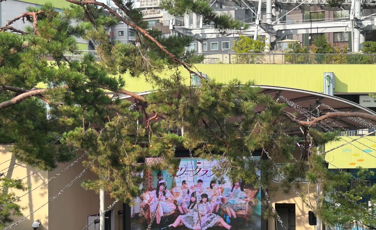 Newstage0310's tweet photo. めっちゃ良いライブだったわね（からの、🐙）

#マリクラ https://t.co/QYLBGfdgLd