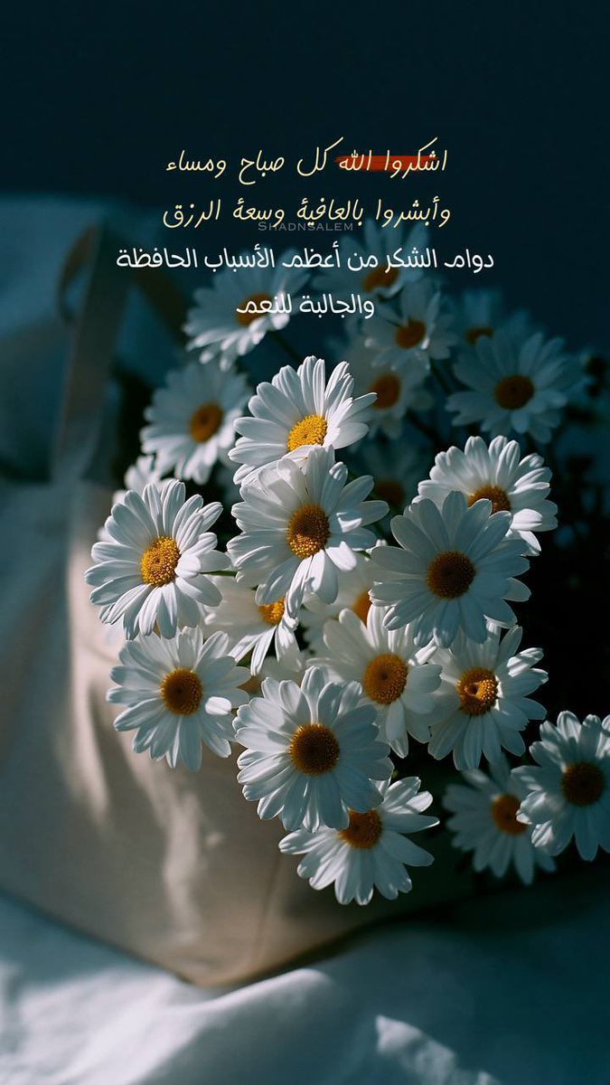 suii77's tweet photo. 🌤️#إشــ🌅ــراقة #صبـ☀️ـاحية🌤️ 
ما من شيء في الكون إلا وهو #يسبِّح للَّه #ويحمده مقراً بكماله، خـاضعاً لسلطانه سبحانه. https://t.co/iIUZlmlBkb
