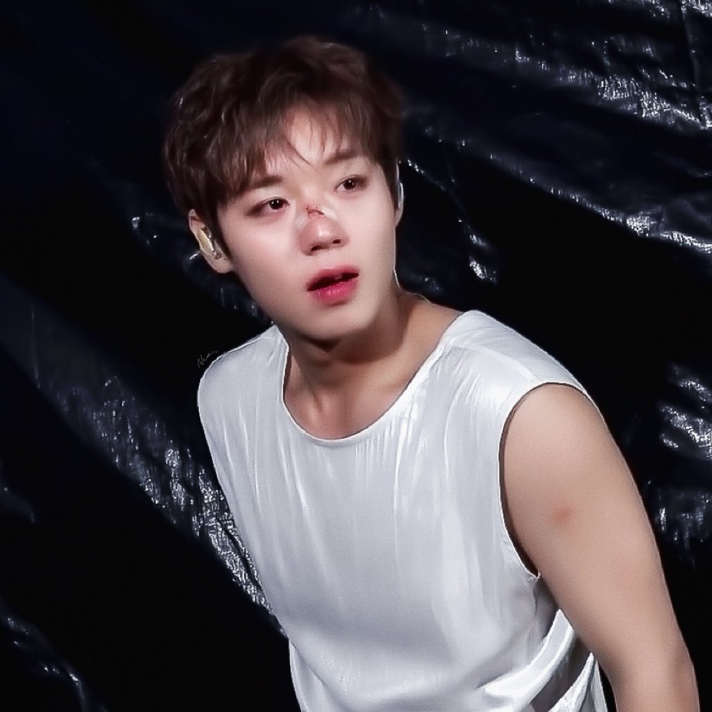 name_06n's tweet photo. 모기물린 바봉이.. https://t.co/JqFBhx9vev