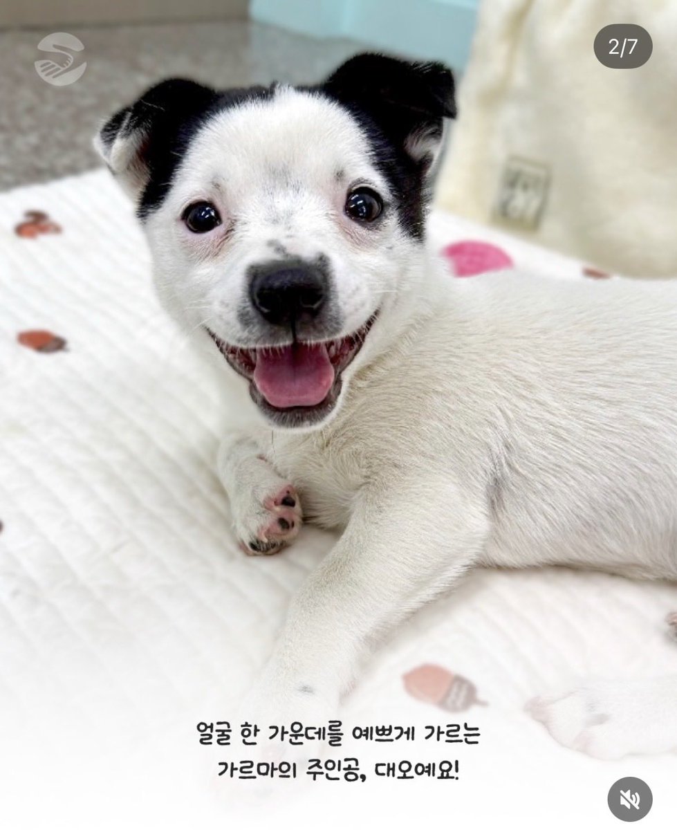 milolucky5's tweet photo. 천사가 나타났다
오대오 가르마라 오, 대오래요 https://t.co/8jquertTMl