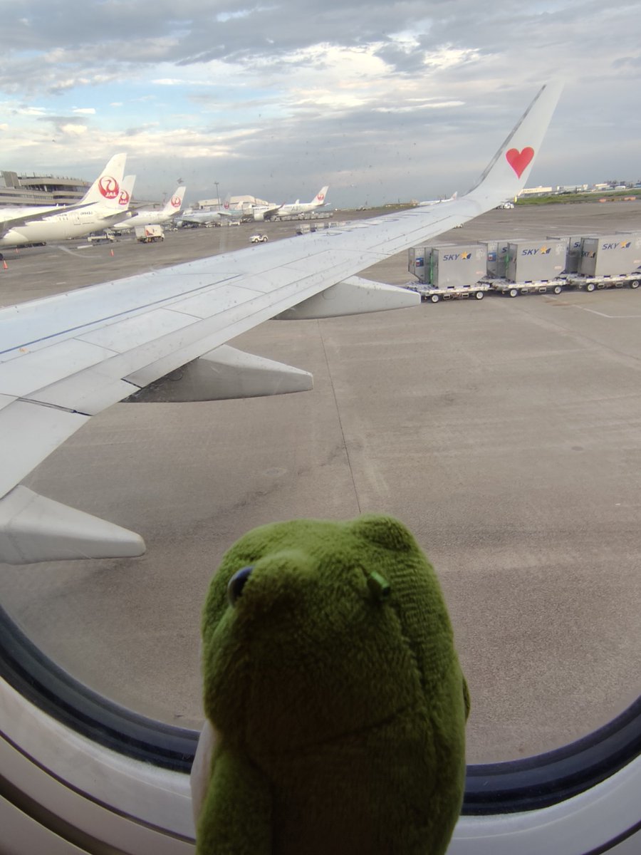 afroeno's tweet photo. やっと羽田空港到着しました

何時間飛行機に乗ってたんだ？

時間に余裕があったから
うなぎパイも買えたし
なかなかに楽しめた😆

後は
めちゃくちゃ重いスーツケースを持って
帰らねば

お家に帰るまでが旅です https://t.co/7d5wpRX1kS