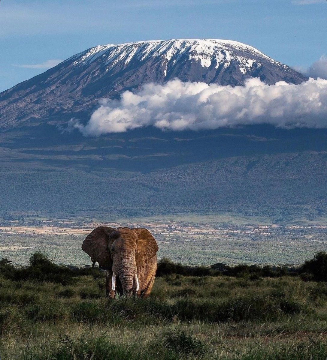 W0rld2026's tweet photo. Kenya 🇰🇪 https://t.co/rlhvX1F3bY