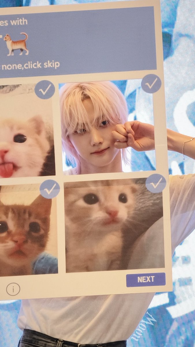 Estrella_starry's tweet photo. 260725
🐱🐾

#Boynextdoor #sungho  #박성호  #kms #shanghai #보이넥스트도어 https://t.co/LB1himiE8r