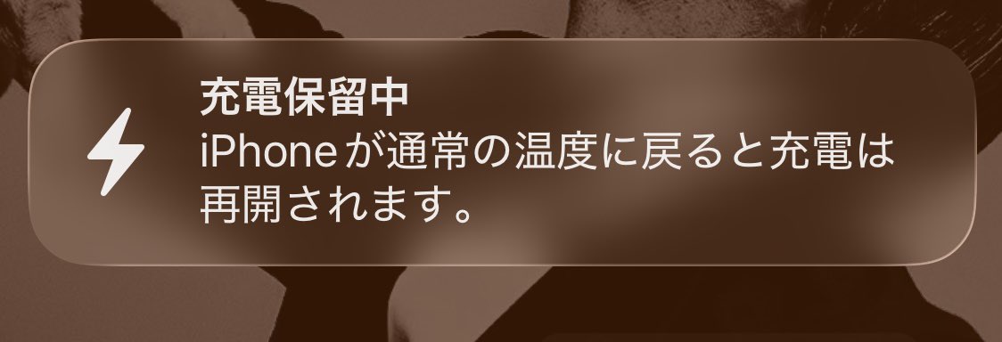 miko2 tweet picture