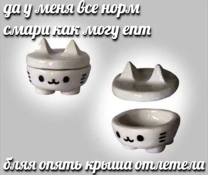 LLaye0's tweet photo. https://t.co/m2i1ubaoRK