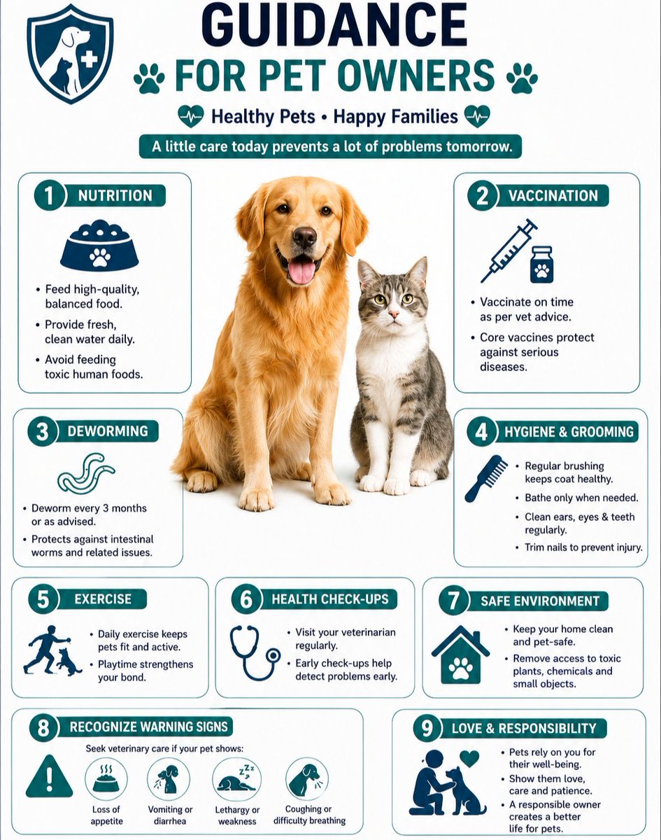 Bilalkhanacb's tweet photo. Every small step in pet care makes a big difference. 🐶🐱
Feed well • Vaccinate • Deworm • Exercise • Visit your vet regularly.

#PetCare #Veterinary #HealthyPets https://t.co/ZpsSPkde8t