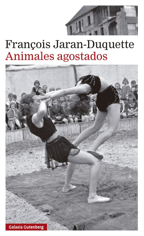 tdetour's tweet photo. Novela de aprendizaje, marcada por el determinismo, en las profundidades de la posguerra española. Animales Agostados, de François Jaran-Duquette (@G_Gutenberg  ). @ladylibrorojo : Anda jaleo, jaleo.

https://t.co/VJgCtBqmU2 https://t.co/S4tnTe2Sp4