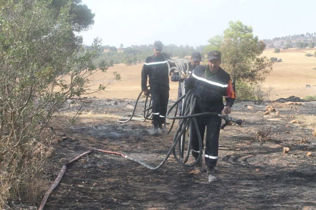 DGPC_CNI's tweet photo. الوضعية المتعلقة بالحرائق، خلال 24 الساعة الأخيرة، إلى غاية الساعة 07سا00د:
📊إجمالي الحرائق المسجلة: 80 حريقاً.
🟩إجمالي الحرائق التي تم إخمادها: 72 حريقاً.
🟥 جمالي الحرائق المتبقية قيد الإخماد: 08 حرائق، موزعة على ولايات:
https://t.co/aswTXORuur https://t.co/iXquiBdwlR