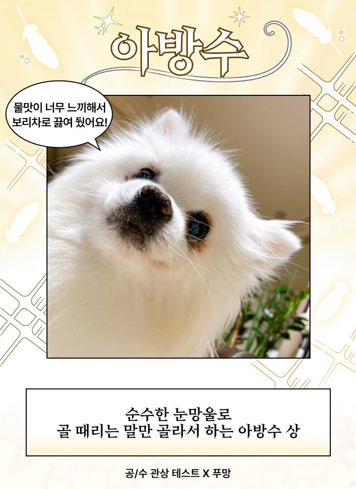 chundukku's tweet photo. 아방방 https://t.co/iK5nA0FOEl