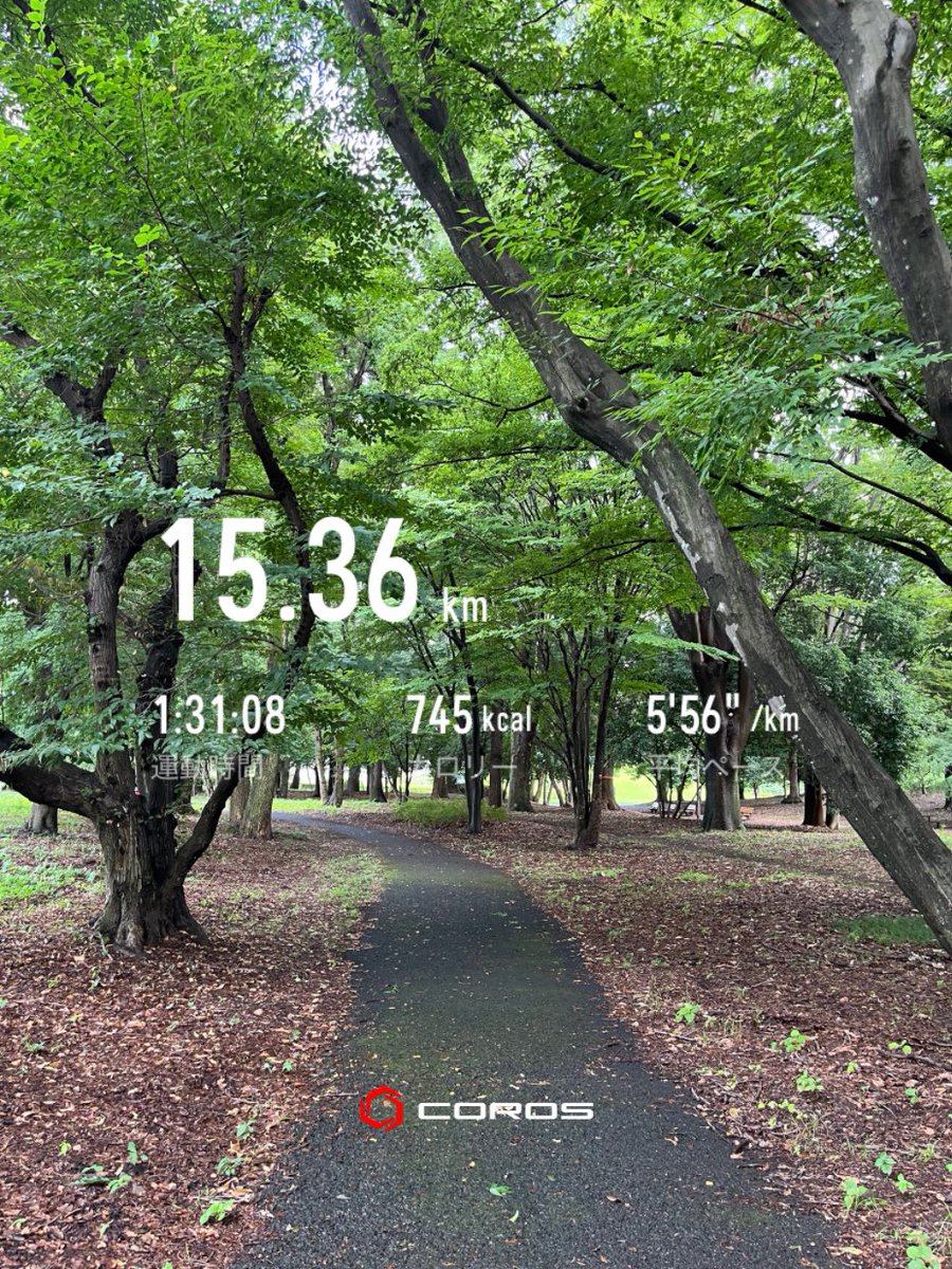 HaLu777's tweet photo. 雨上がり、公園の木陰なら多少凌げる

#ランニング https://t.co/0S3p9iER8w