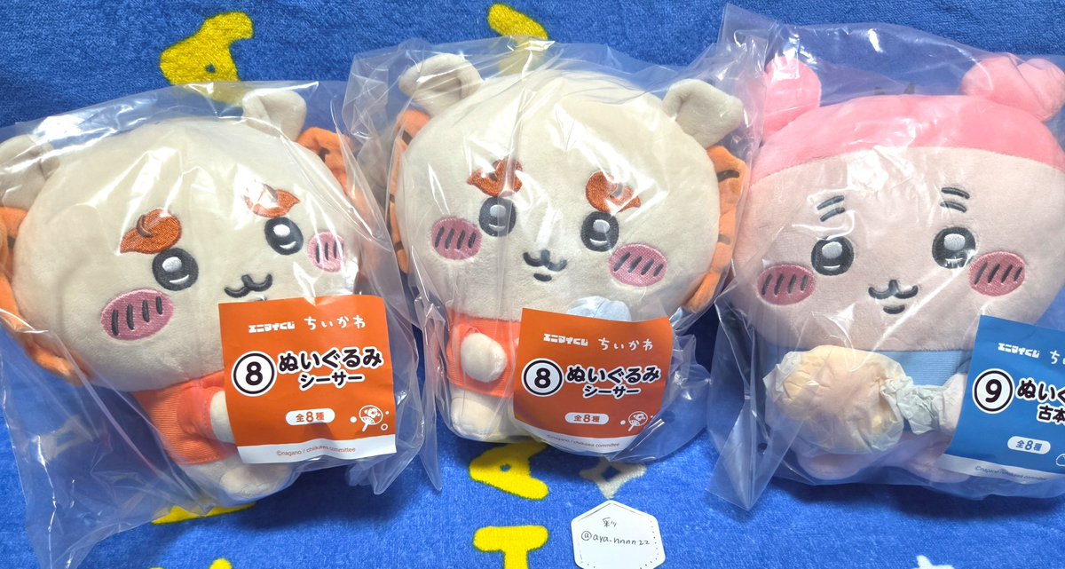 彩@取引用 tweet media