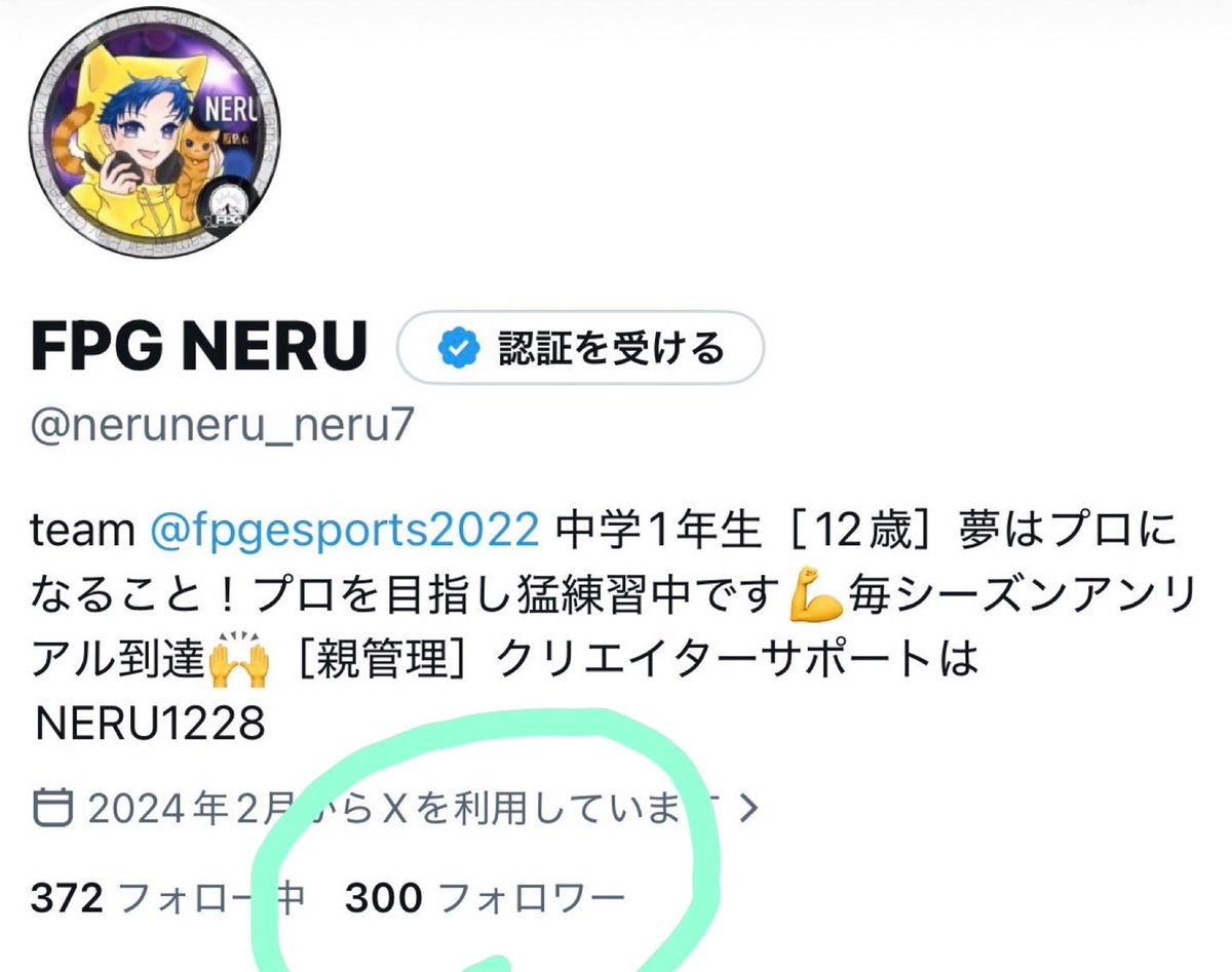 neruneru_neru7's tweet photo. 300人フォロワー行きました！ありがとうごさいます！！ https://t.co/iq00btMmmb