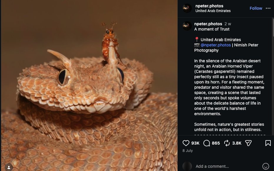 PEPE DEV ( REAL) tweet media
