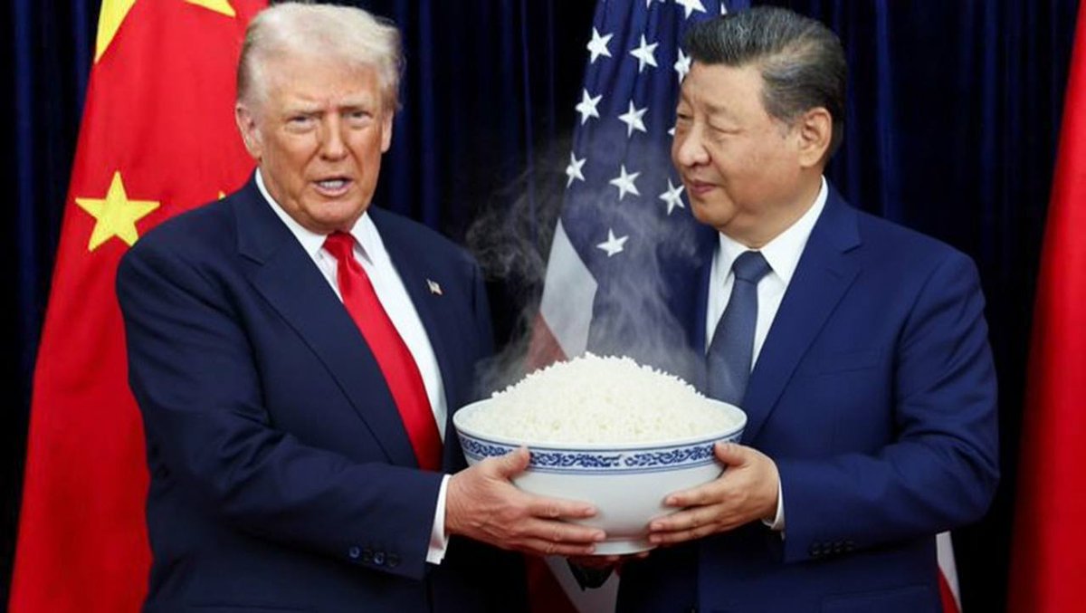 1 Grain of Rice tweet media