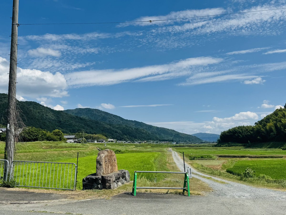 Be_San3's tweet photo. 夏だねぇ https://t.co/RDoxrbWoax