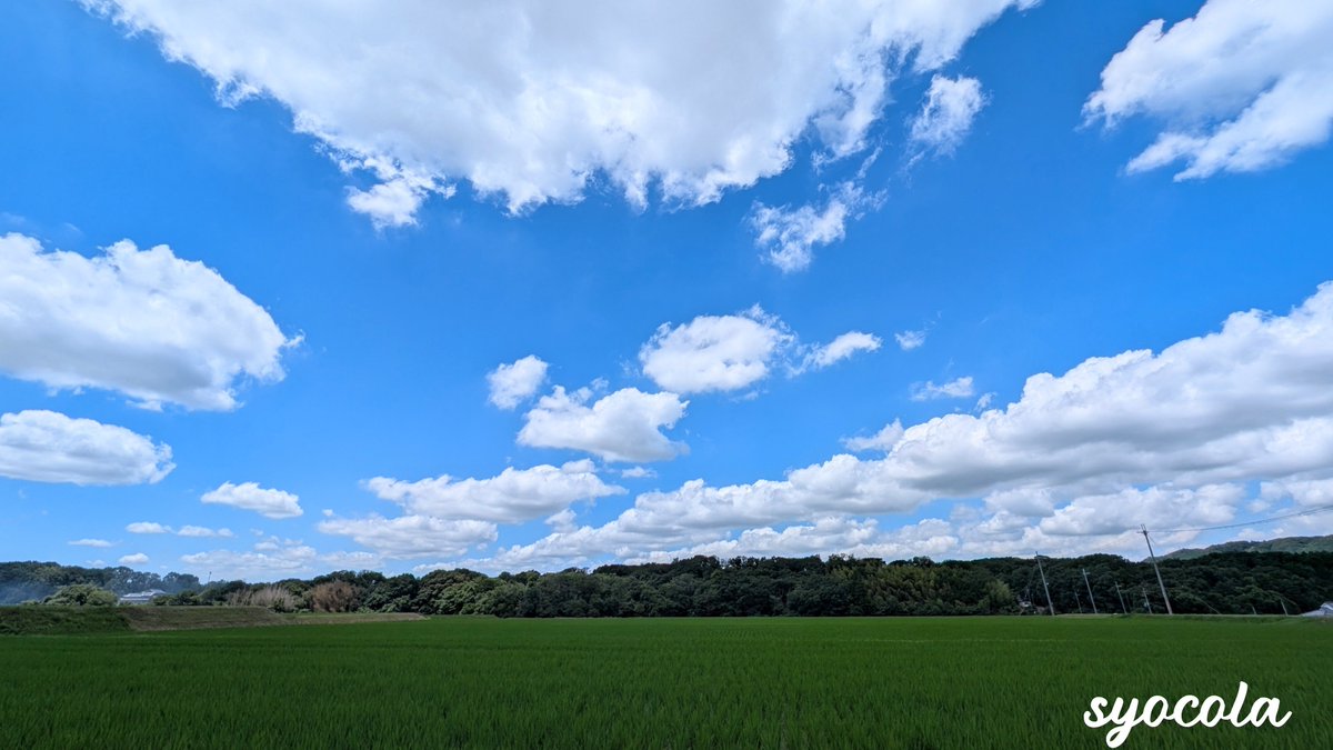 syocola0426's tweet photo. 久々にさっくんが夢に出てきたからこんにちは🩷
とってもとっても良き夢でした☺️
最近は暑さと戦いながら
バイト先で大切なお仕事任されたので食らいつきながら来月にはコンテストも受けるという🫣
そんな毎日をこなせるのは推したちのおかげ！まじ感謝！！
フラッと出かけた先で出会えた絶景を添えて https://t.co/coHB0hy4uE
