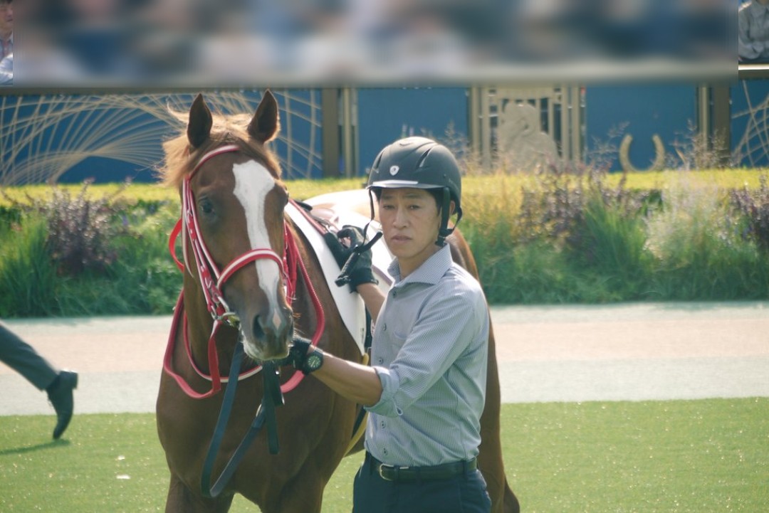 Tia_0719's tweet photo. アイドルホース投票期間なので新馬戦のシンエンペラーを
ぬいぐるみもだけど、いつかG1に手が届きますように🙏✨️ https://t.co/wo0KvtsgEr