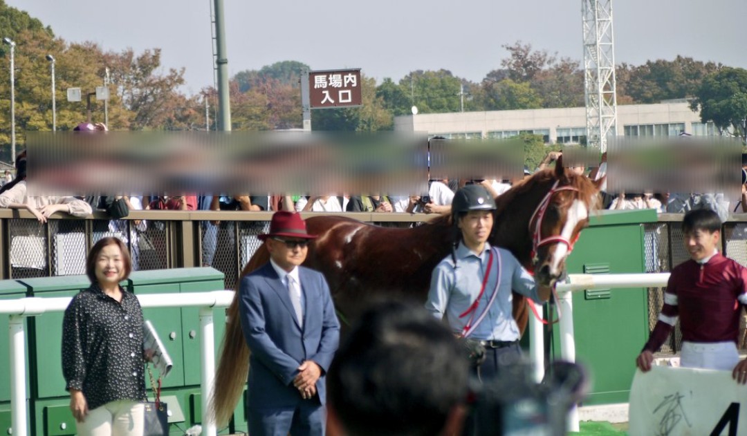 Tia_0719's tweet photo. アイドルホース投票期間なので新馬戦のシンエンペラーを
ぬいぐるみもだけど、いつかG1に手が届きますように🙏✨️ https://t.co/wo0KvtsgEr