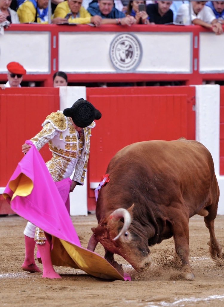 NeoMorantista's tweet photo. Aarón Palacio es de los nuevos chavales que mejor torea, por no decir el mejor.

Ayer lo volvió a demostrar en Santander, y más al lado del vulgar Marco Pérez. 
Ves el toreo de uno y otro y no entiendes como los dos pueden ser llamados igual.

El tiempo es sabio, hay un mundo… https://t.co/NLlHFrEAmq