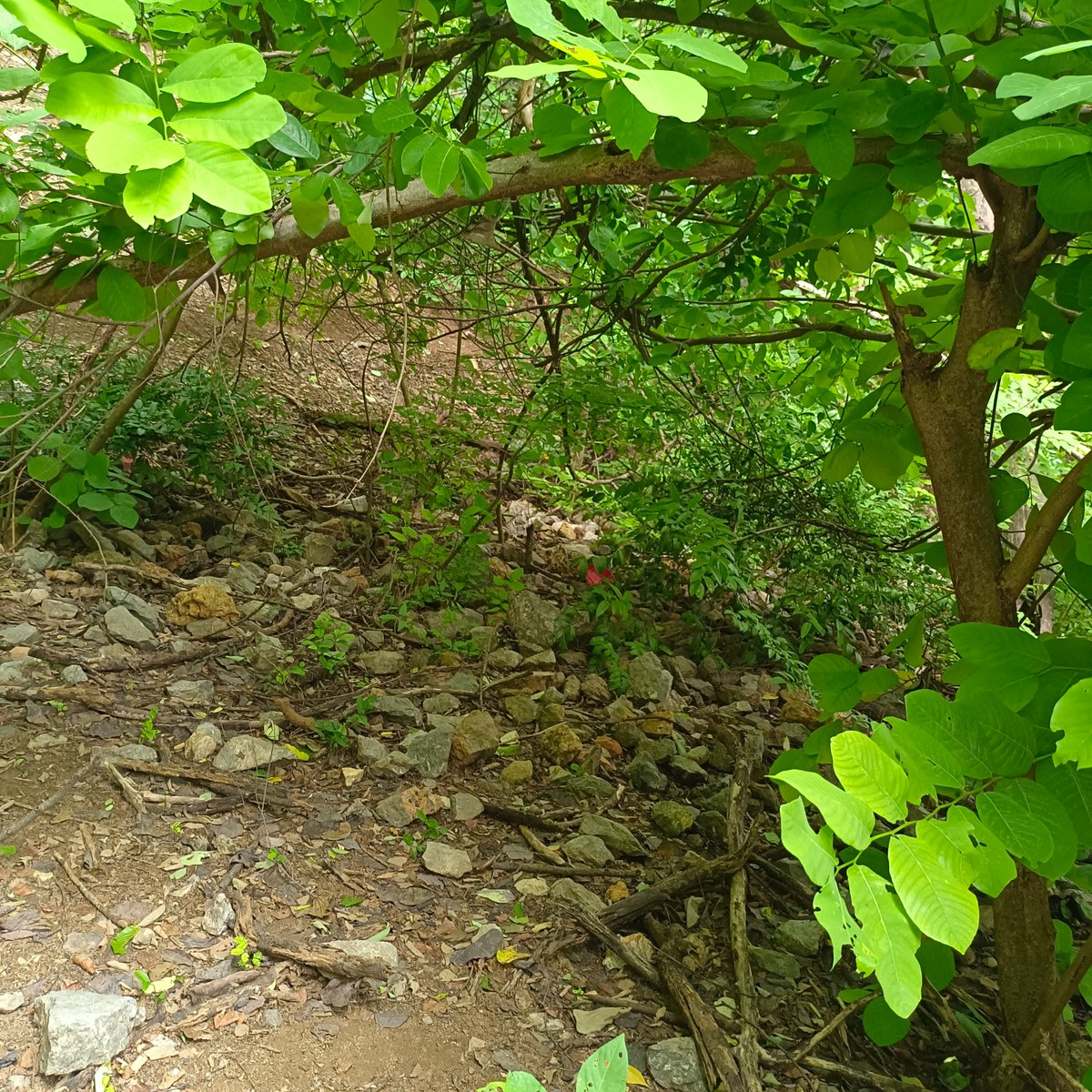 Tier00867933's tweet photo. Where? https://t.co/JFw6gQ9hQv
