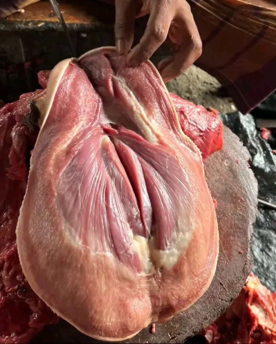 _Kangchi_8's tweet photo. I usually eat fish, but I decided to buy meat today... and something about this meat looks familiar 🤔 https://t.co/0PH2tURbCJ