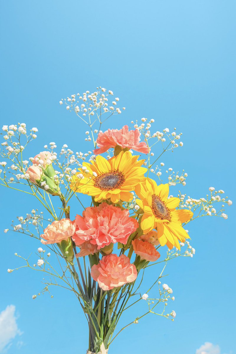 Noah_photobook's tweet photo. お花に癒されたい人に届きますように。 https://t.co/GEqp04hKn1