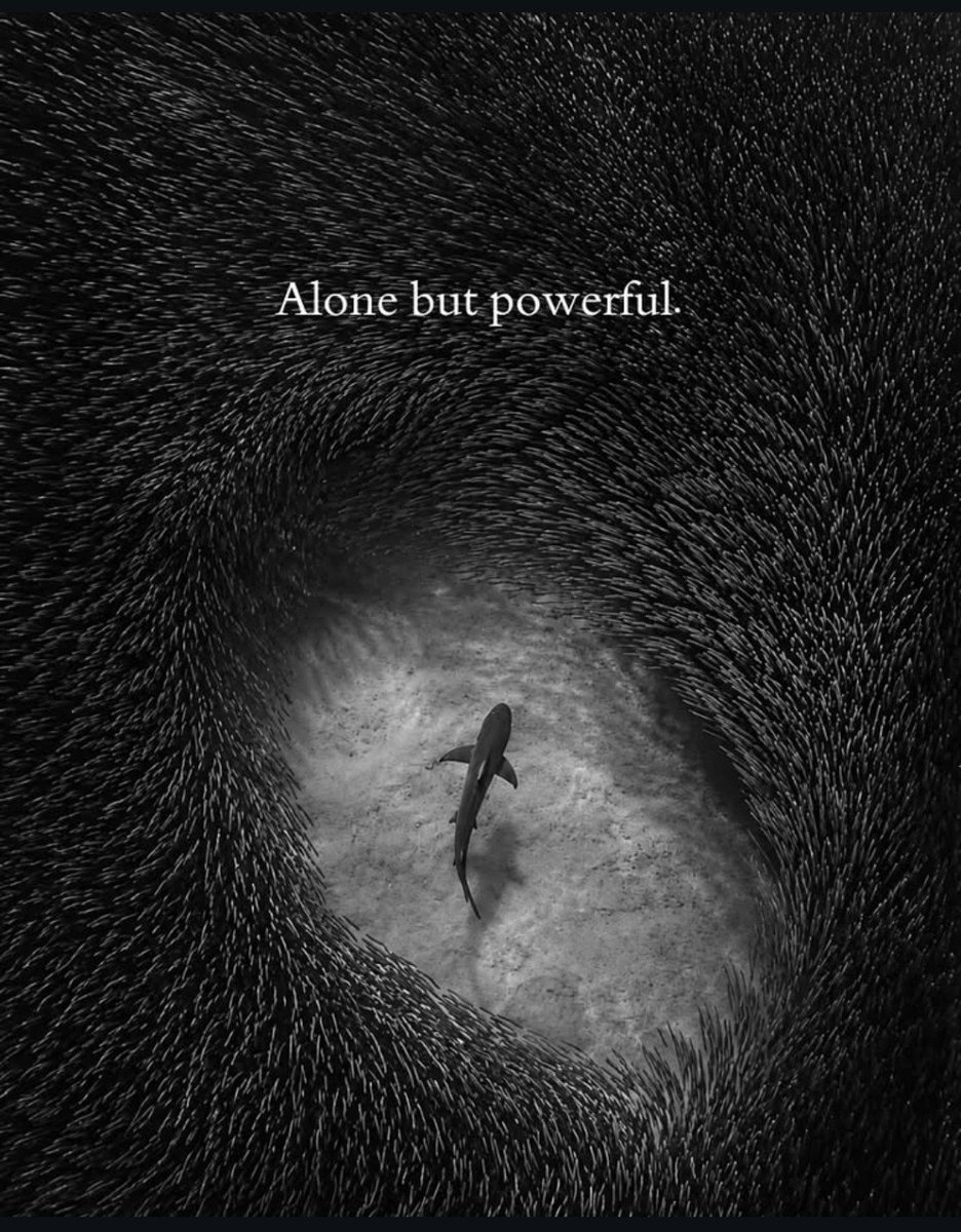 DearS_o_n's tweet photo. Be a man. https://t.co/CJTIJOZdmP
