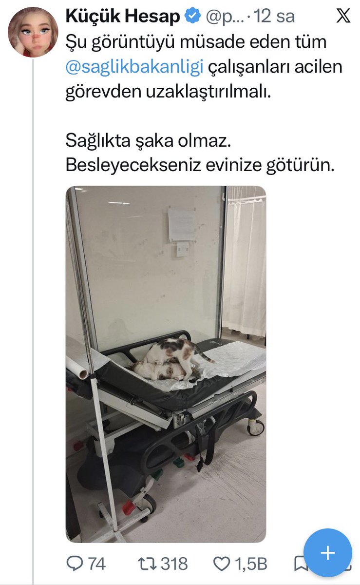 Dilara Erkmen tweet media