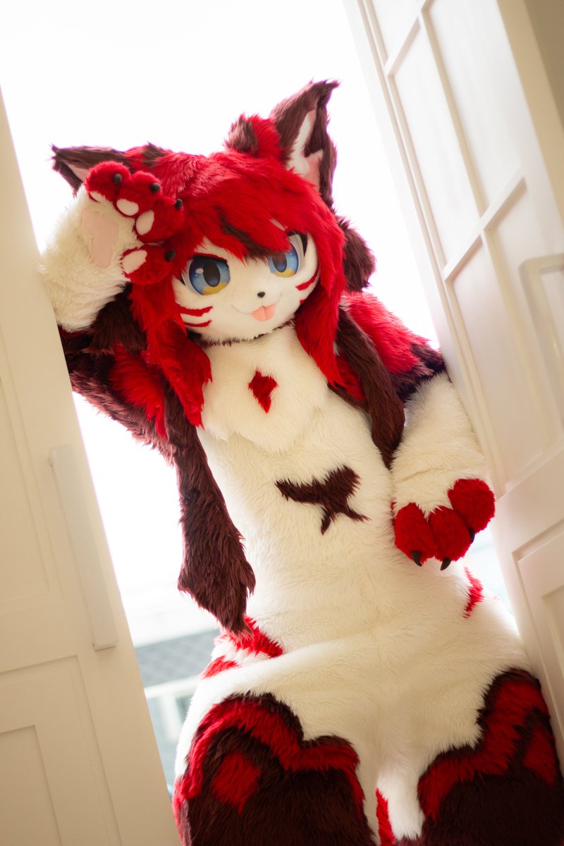 Elli_fur's tweet photo. #Fursuit #FursuitsEveryday
🌟짜잔 빛나는 엘리 등장이야 🌟 🥰🥰 https://t.co/Go6qbR7Ycz