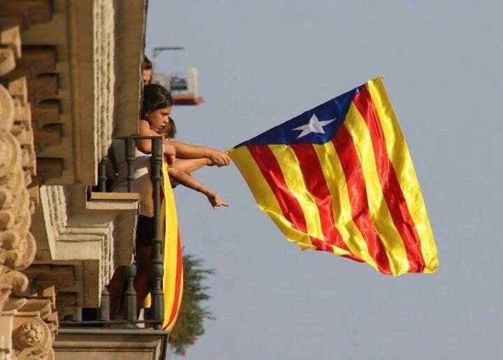 MagMagic64's tweet photo. Bon dia companys i companyes de la lluita.
No ho tornarem a fer.
HO VAM FER I VAREM GUANYAR.
Visca Catalunya lliure i sobirana i sempre més Puta Espanya.
#Dui #lliridemerda #nioblitniperdó #putaEspanya #1Oct #republicacatalana #niunpasenrera #esperitdurquinaona #mantincelcatalà https://t.co/kNzgesWQcH