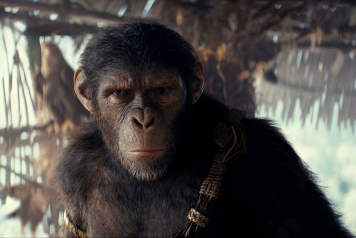 TVCampDE's tweet photo. Die #FreeTVPremiere heute um 20:15 auf #Pro7: PLANET DER AFFEN: NEW KINGDOM. Auf einer von Affen beherrschten Erde kämpft ein junger Schimpanse gemeinsam mit einer Menschenfrau um die Zukunft seines Clans. #TVTipp #PlanetDerAffen 
⭐⭐⭐
https://t.co/GRTOuH5Sfx https://t.co/TpxVI2mQOH