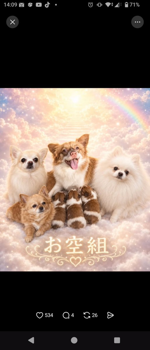 紫 tweet media