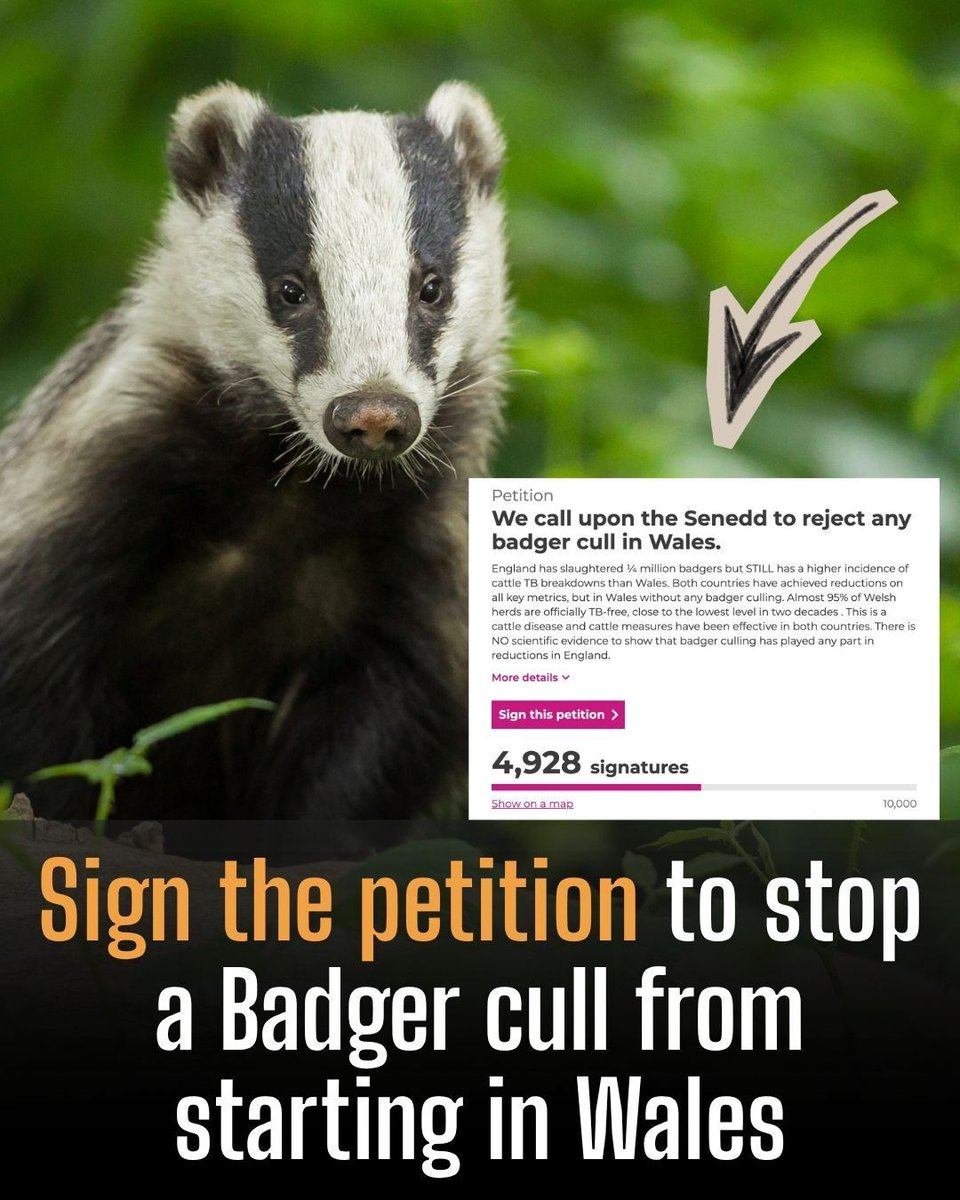 Protect the Wild tweet media