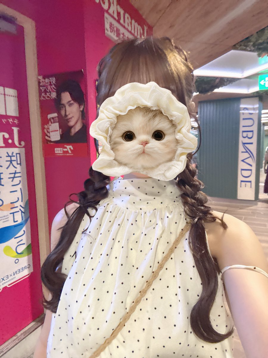 poco__pan2's tweet photo. @lovemejoy48 容姿こんなかんじです！！！ https://t.co/CgMuw9tEN2