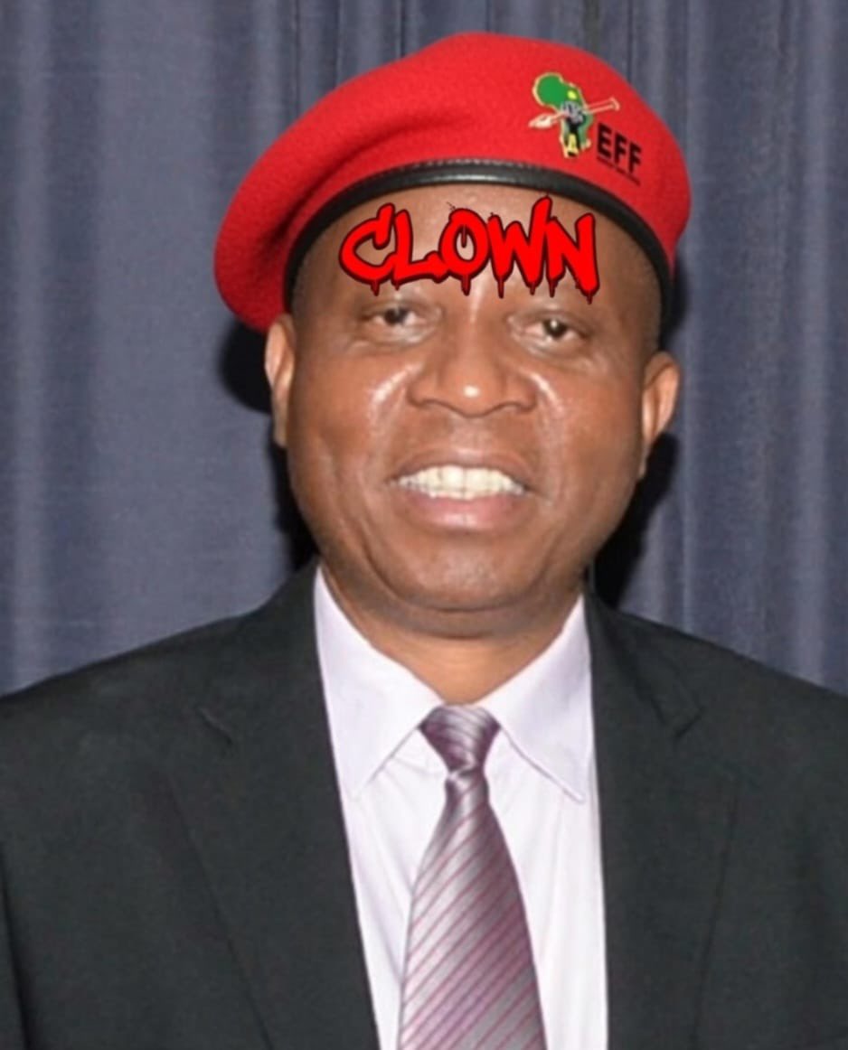 FokRacists's tweet photo. @Action4SA @CityofJoburgZA @CityTshwane @HermanMashaba Great news latest polling data for useless ActionSa indicates in Gauteng’s 3 big metros
Ekurhuleni 5%
Tswane 3.5%
JHB 9% 
Well done residents of Gauteng Now carry this thru to November Let’sget rid of these cockroaches https://t.co/w9zyGMMGMl