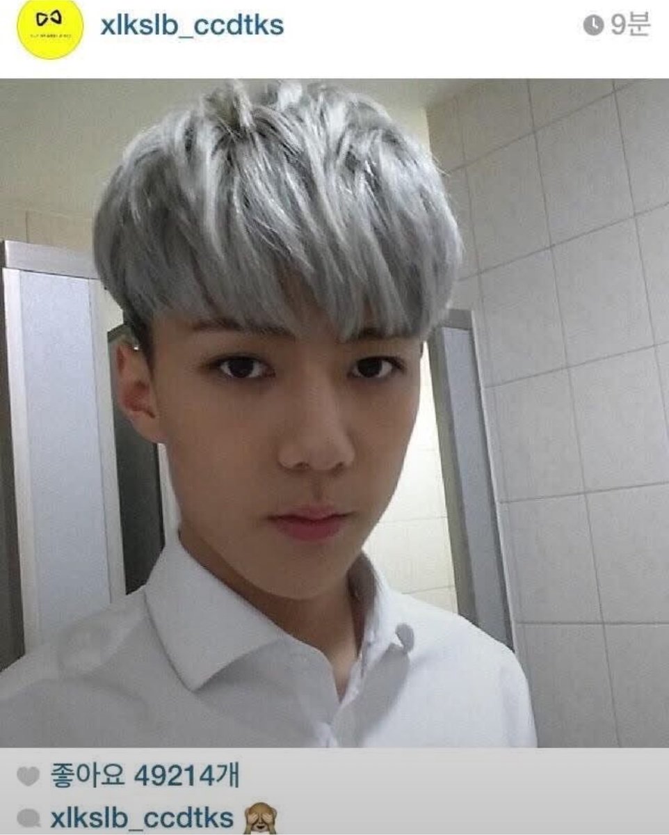 녜힁 tweet media