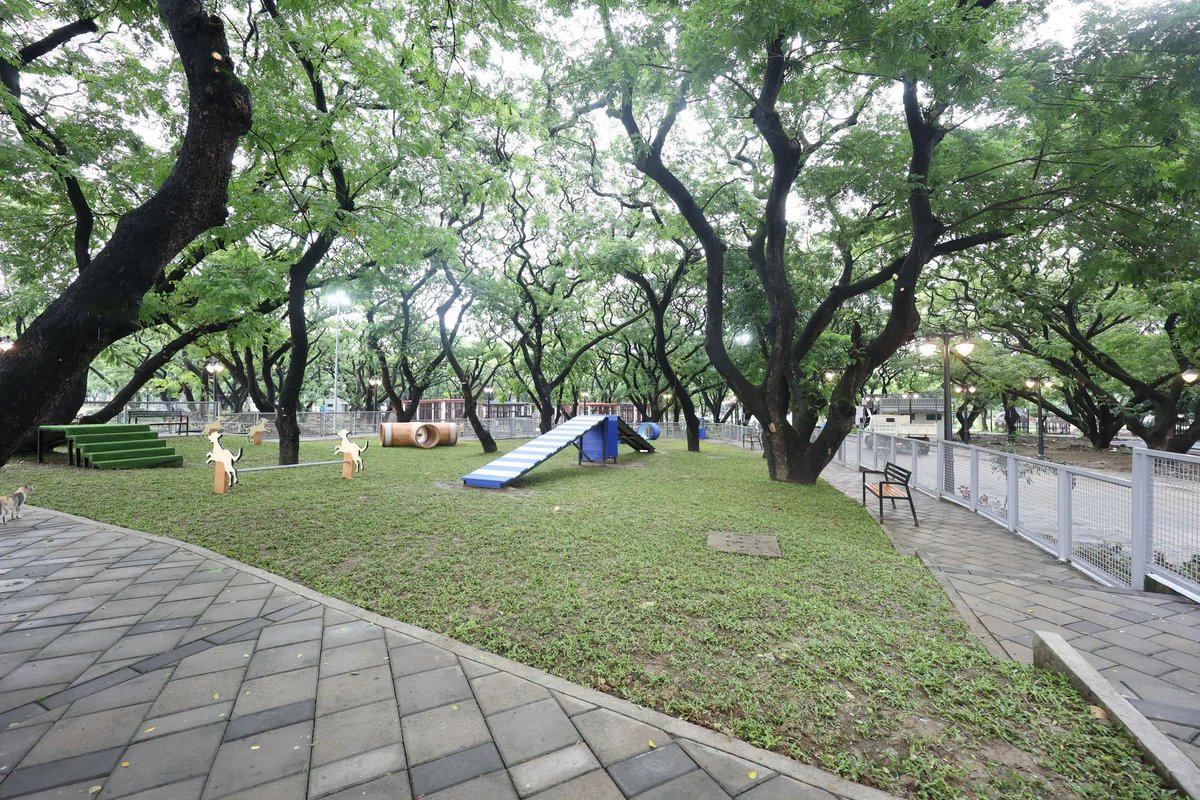 PhilippineStar's tweet photo. NEW OPEN FIELD IN QC

The Quezon City government on Saturday inaugurated the new multi-purpose open field at the Quezon Memorial Circle (QMC), expanding the park's recreational and community spaces.

Mayor Joy Belmonte led the ribbon-cutting ceremony for the 12,000-square-meter open field, which features walking paths, landscaped areas, views of the Quezon Memorial Shrine, a pond, and an amphitheater for sports, leisure, and community events.

The project also includes a retention pond and detention tank to help mitigate flooding and collect rainwater for future use. (Facebook/Quezon City Government)