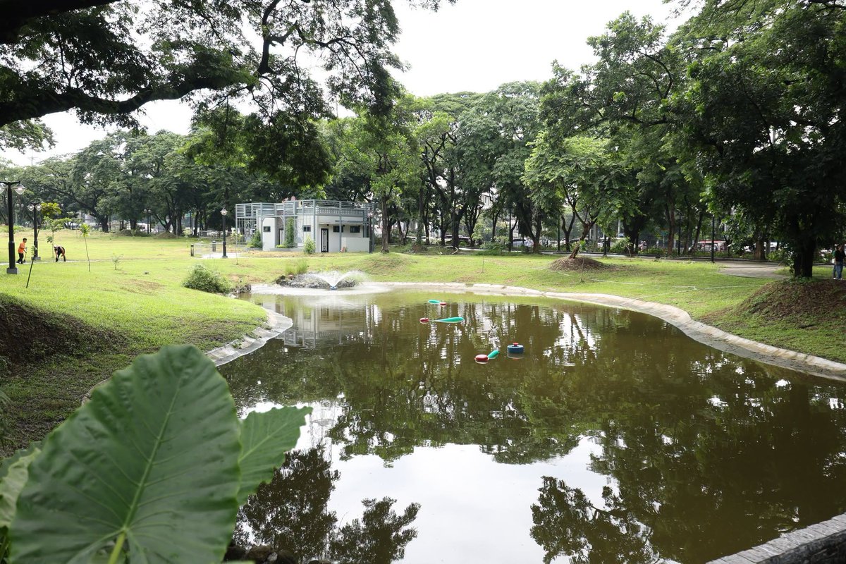 PhilippineStar's tweet photo. NEW OPEN FIELD IN QC

The Quezon City government on Saturday inaugurated the new multi-purpose open field at the Quezon Memorial Circle (QMC), expanding the park's recreational and community spaces.

Mayor Joy Belmonte led the ribbon-cutting ceremony for the 12,000-square-meter open field, which features walking paths, landscaped areas, views of the Quezon Memorial Shrine, a pond, and an amphitheater for sports, leisure, and community events.

The project also includes a retention pond and detention tank to help mitigate flooding and collect rainwater for future use. (Facebook/Quezon City Government)