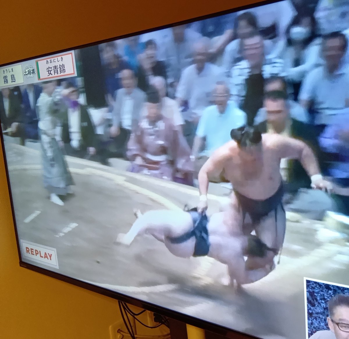 saitamazebra2's tweet photo. ジャポネーゼ熱海フジ優勝見たかったけど泣けるストーリーの持ち主安青錦勝った… https://t.co/iEvJSJCi1j