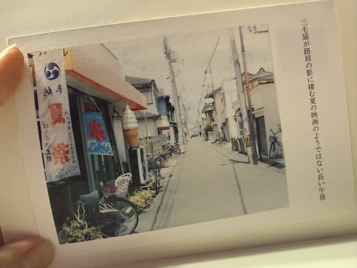 mkm_'s tweet photo. #hon #yonda 去年の初夏に手に入れて寝かせていた「あなたに犬がそばにいた夏」を読んだ 岡野大嗣さんの短歌と佐内正史さんの写真の本 懐かしい夏休みのような空気が流れている
決定的瞬間のない瞬間を川は流れにきらめかせつつ
なんてことない坂道を下りつつ信じたことを手放していく https://t.co/69lCIz3HPw