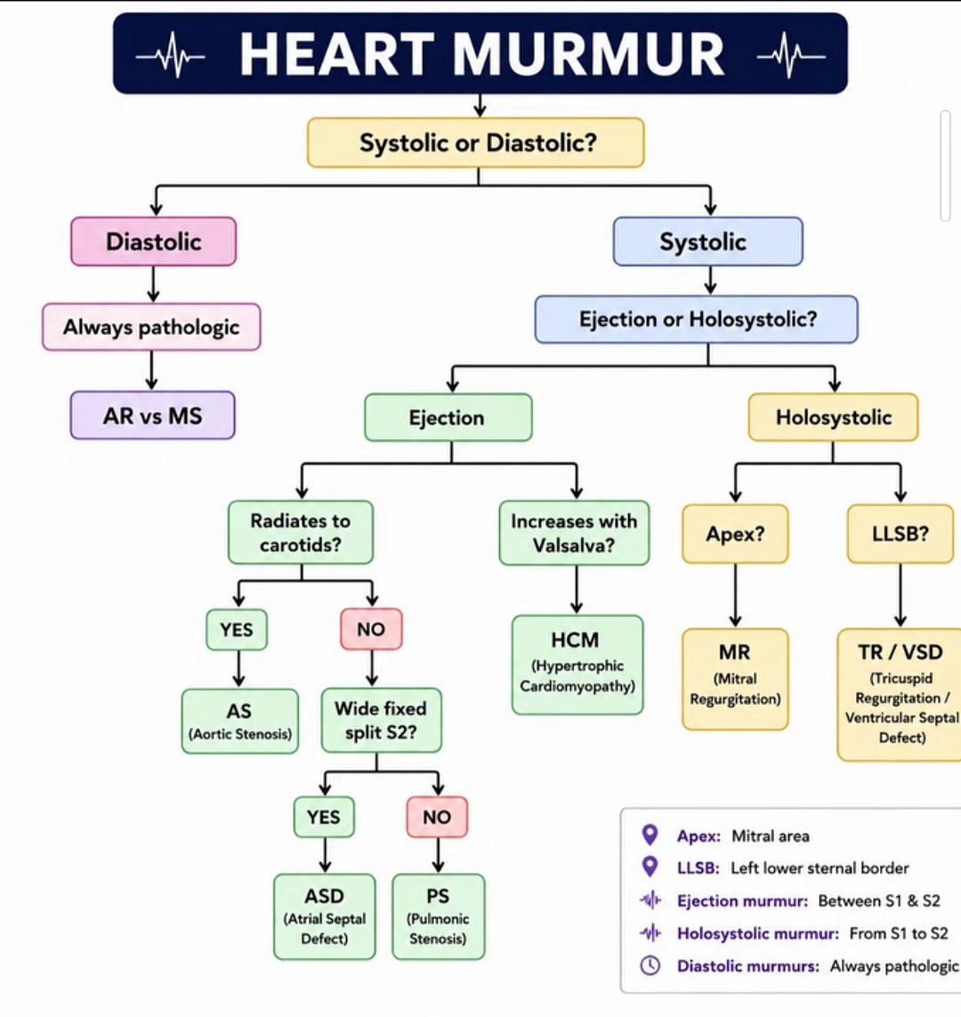 Doctors_GUILD's tweet photo. How to Approach Heart Murmur https://t.co/p37AmW9nvS