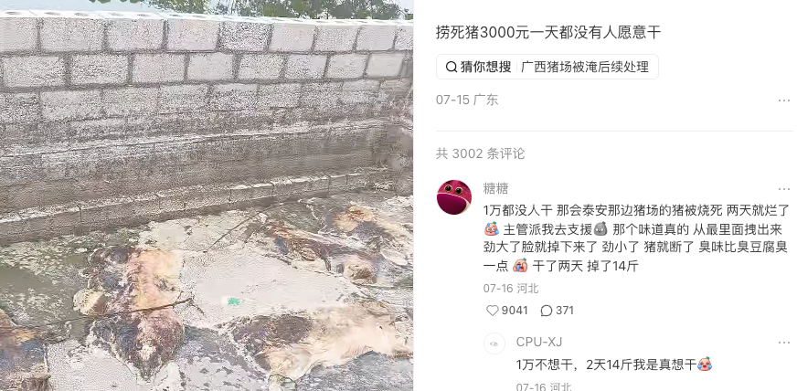 散修小狗(走个面版) tweet media