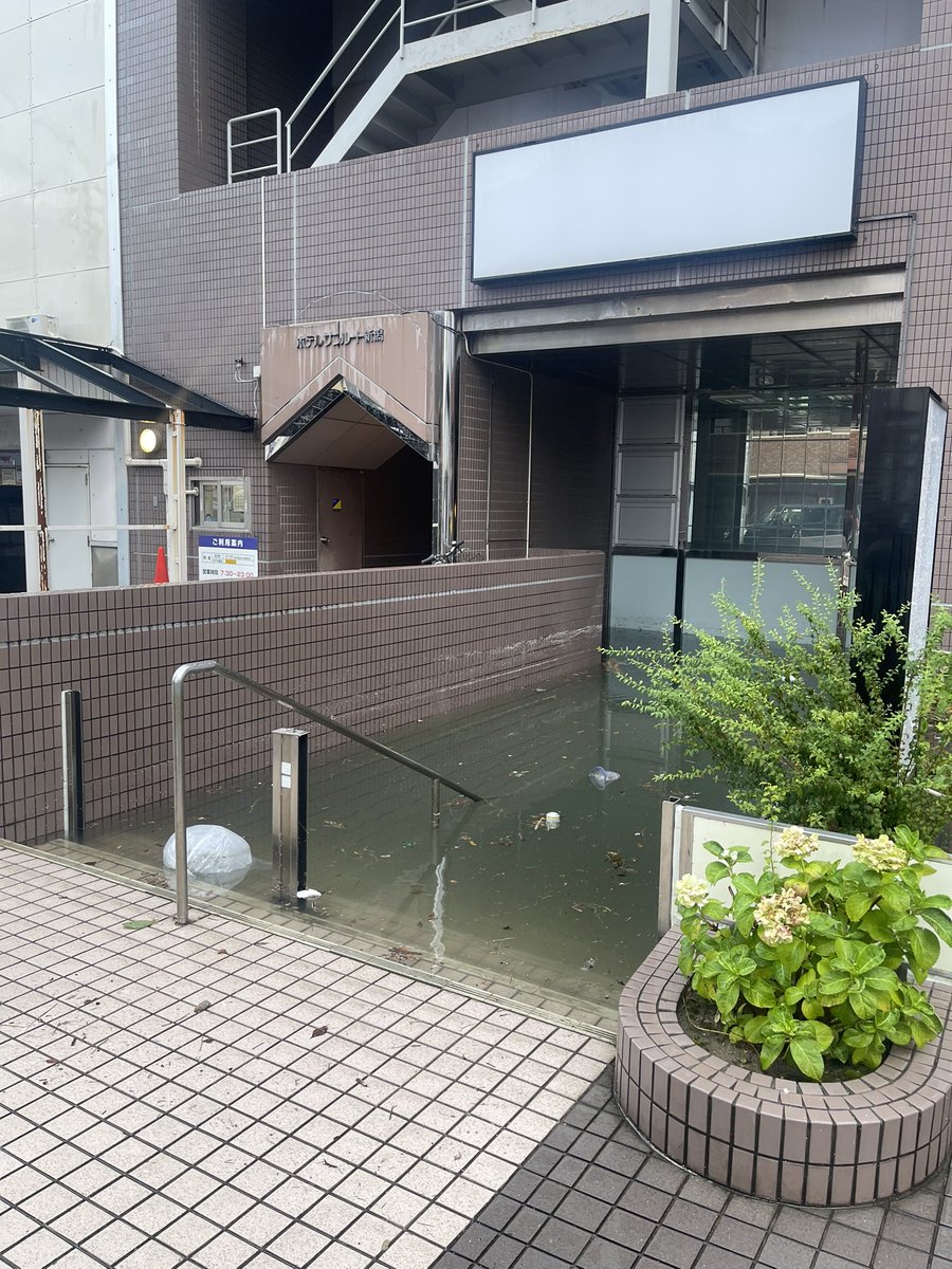 御芽河すいそ tweet media