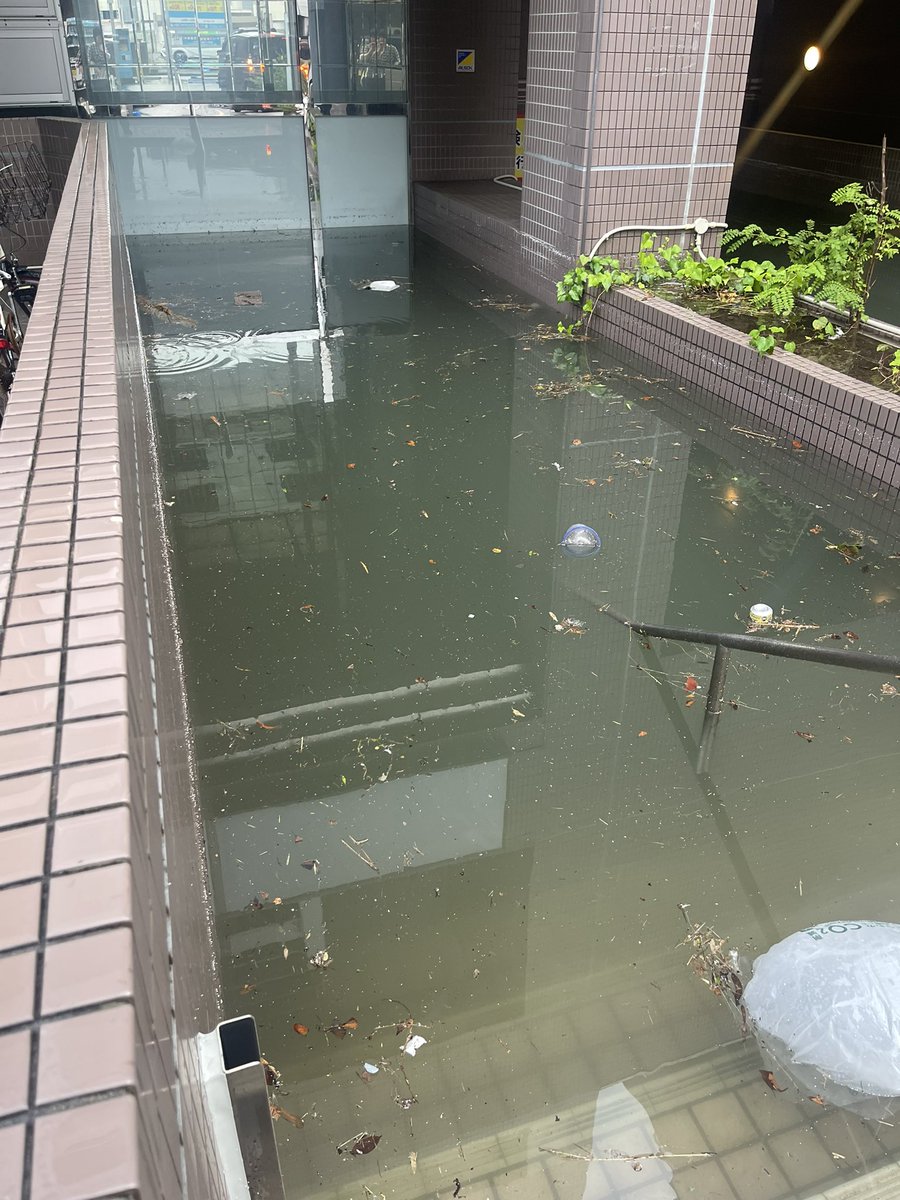 御芽河すいそ tweet media