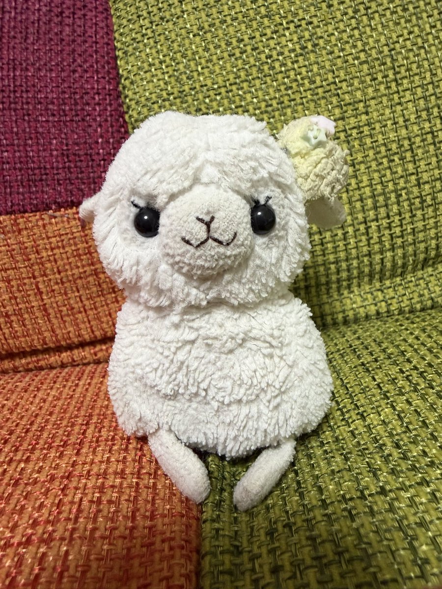 bagi_alpaca's tweet photo. お出かけいっぱいしてちょっぴり汚れちゃったからお風呂入れてもらったよ🛁
お水苦手だけど頑張ったよ🦙🫧
#アルパカ #アルパカッソ #ぬい撮り #アミュキャラぬい撮り https://t.co/1ncXLQ4aAb