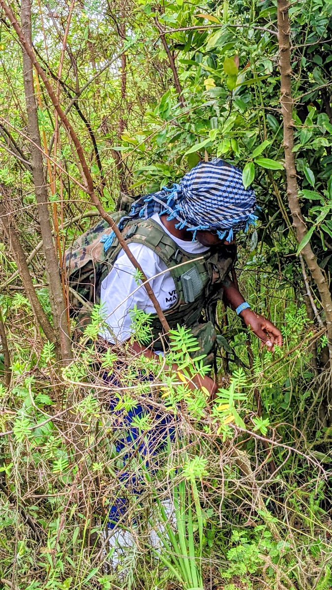 munyamambogo's tweet photo. Hukuu mizizi inayowekwa ni mizito kutakuwa na nchi nyingine🇨🇩 https://t.co/poYYc6jH40